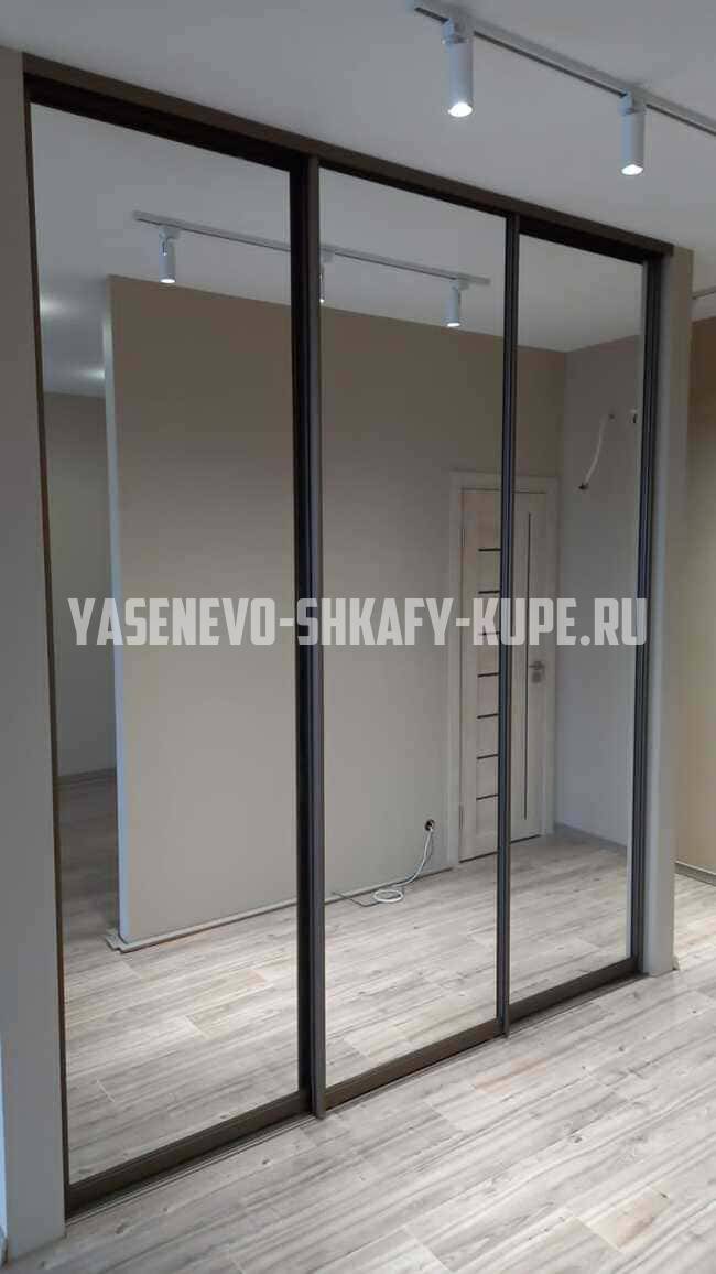 Встроенные шкафы на заказ Ясенево